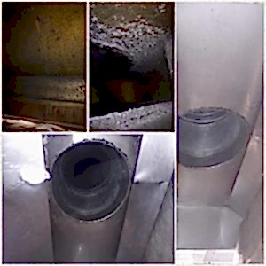 02e2b1eb66f420d1ed39005f0c89faeb